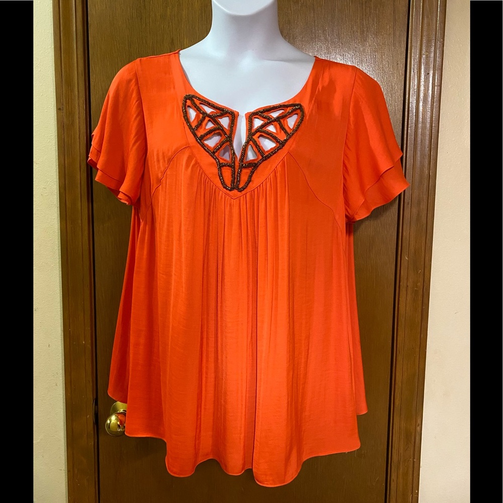 Orange blouse 2X